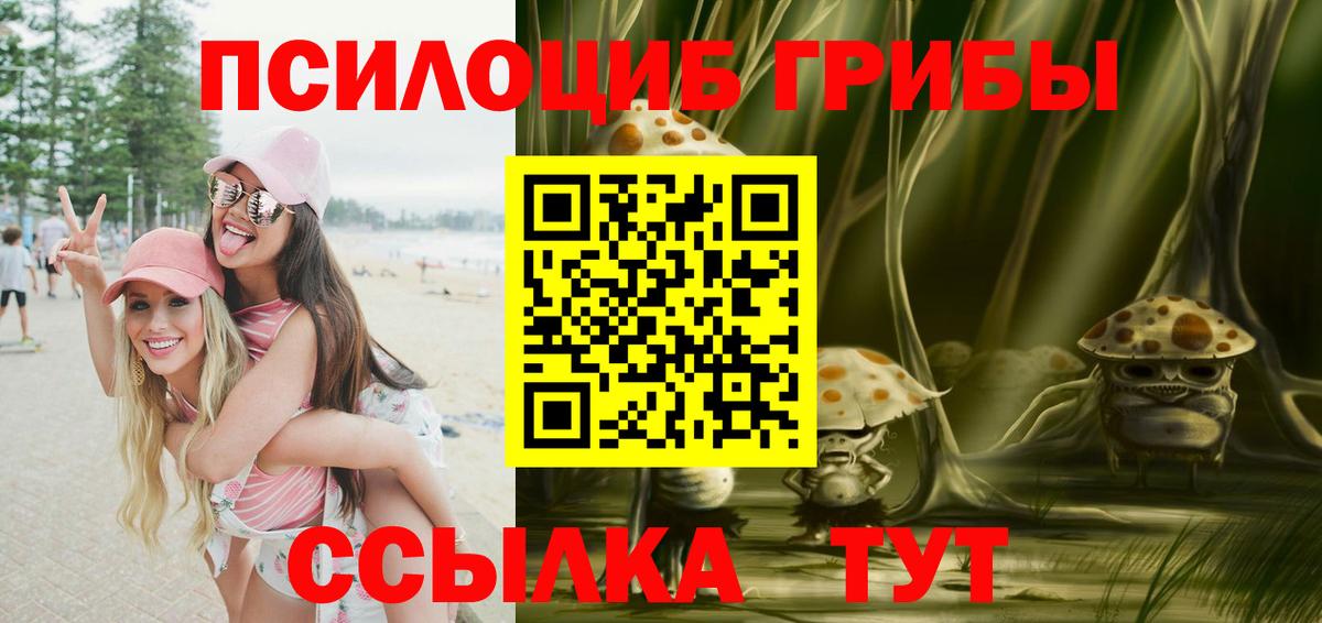 где купить наркотик  Галлюциногенные грибы мухоморы  Вход с VPN  Малгобек 