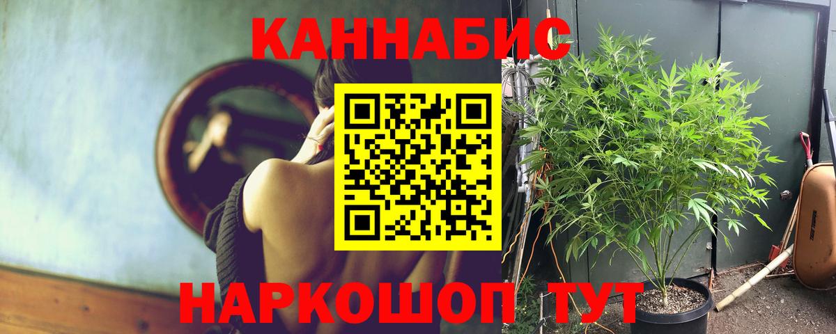 Малгобек  МАРИХУАНА тримм  Вход с VPN  Бошки марихуана LSD WEED 